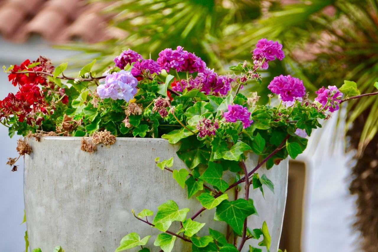 Bungalow En Playa Del Ingles エクステリア 写真