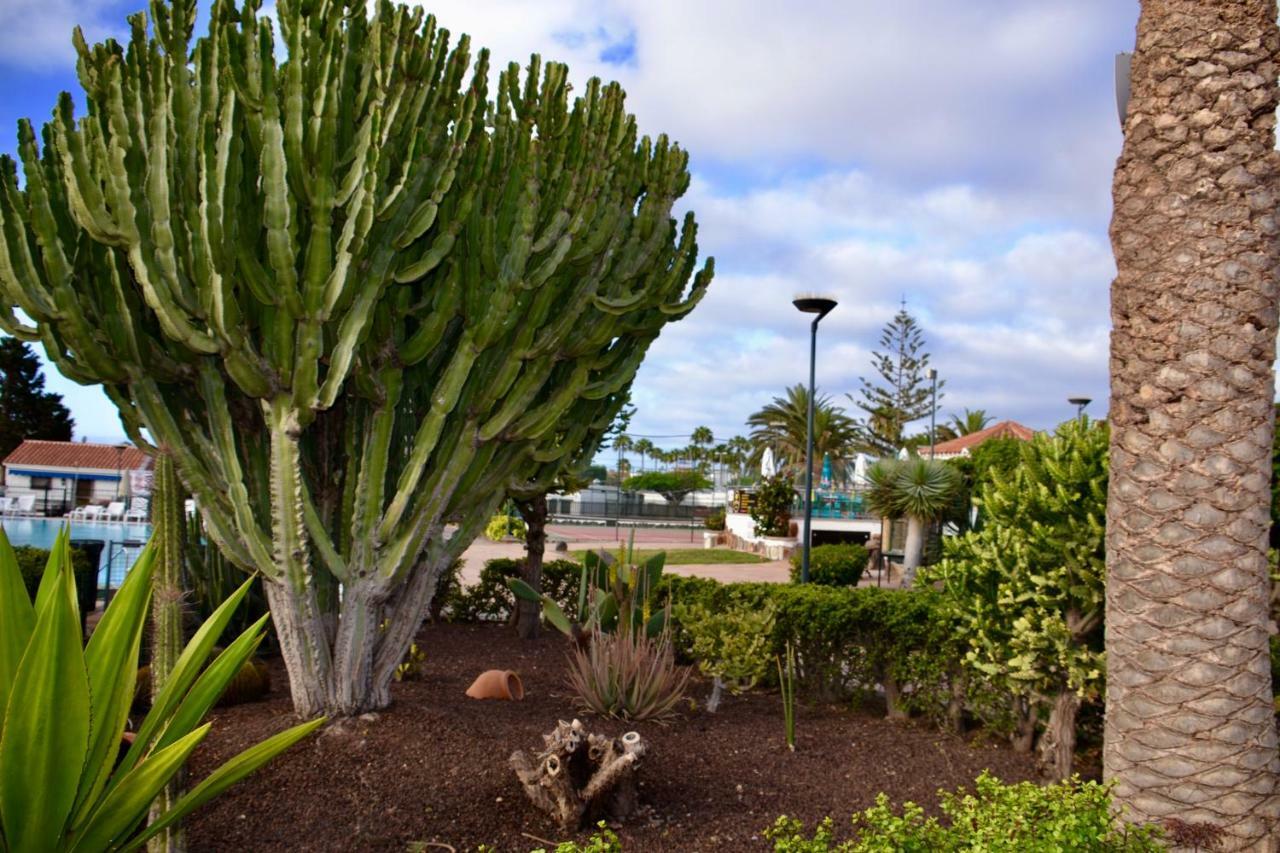 Bungalow En Playa Del Ingles エクステリア 写真
